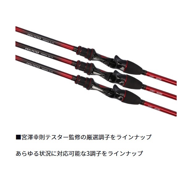 24アナリスターカワハギ